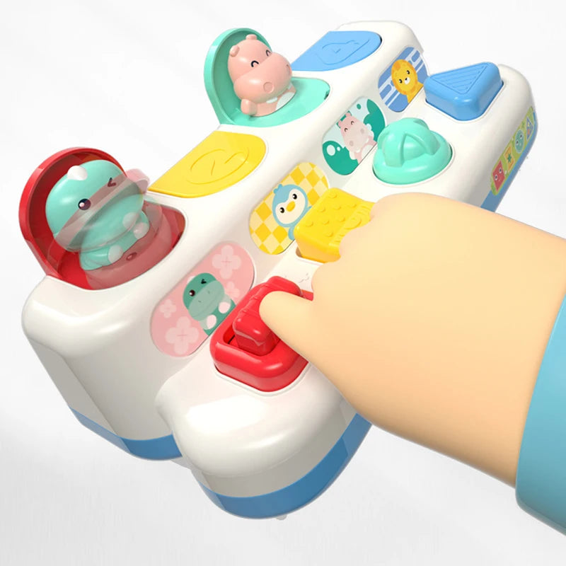 Interactive Activity Pop up Toy for Babies Cause and Effect Toy Baby Development Games Montessori Educational Learning Toys